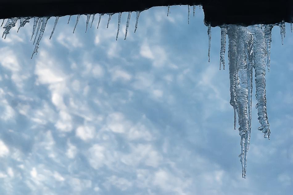 Leann Winter Ice