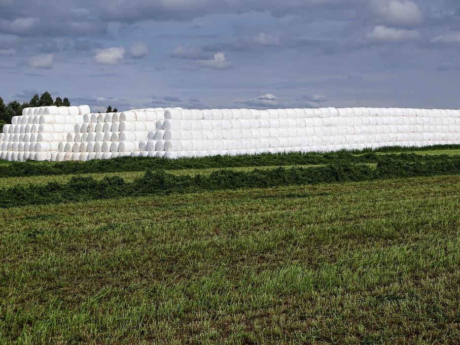 Nature Field Landscape