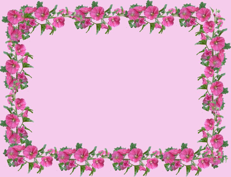 Flower Flora Desktop