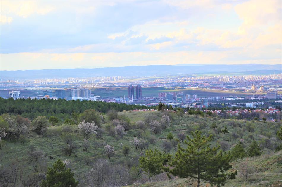 Panoramic Nature Travel