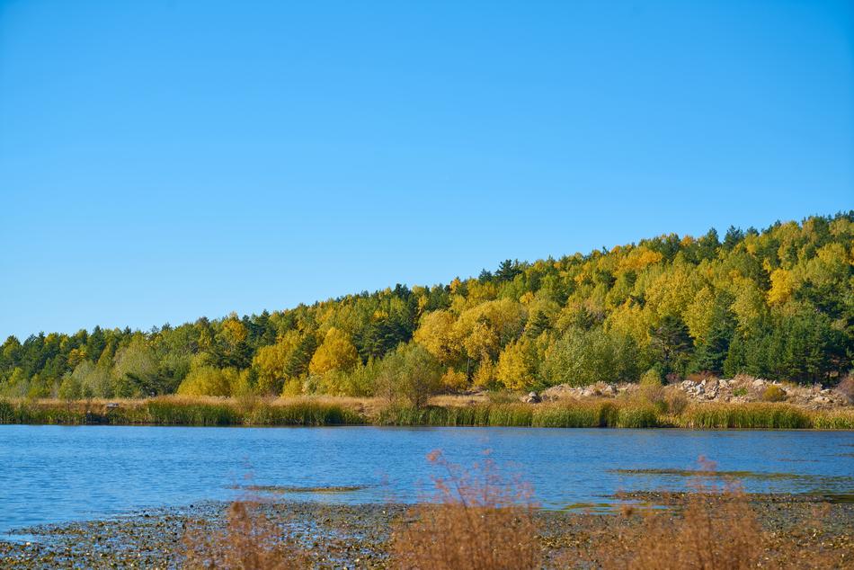 Autumn Season Landscape