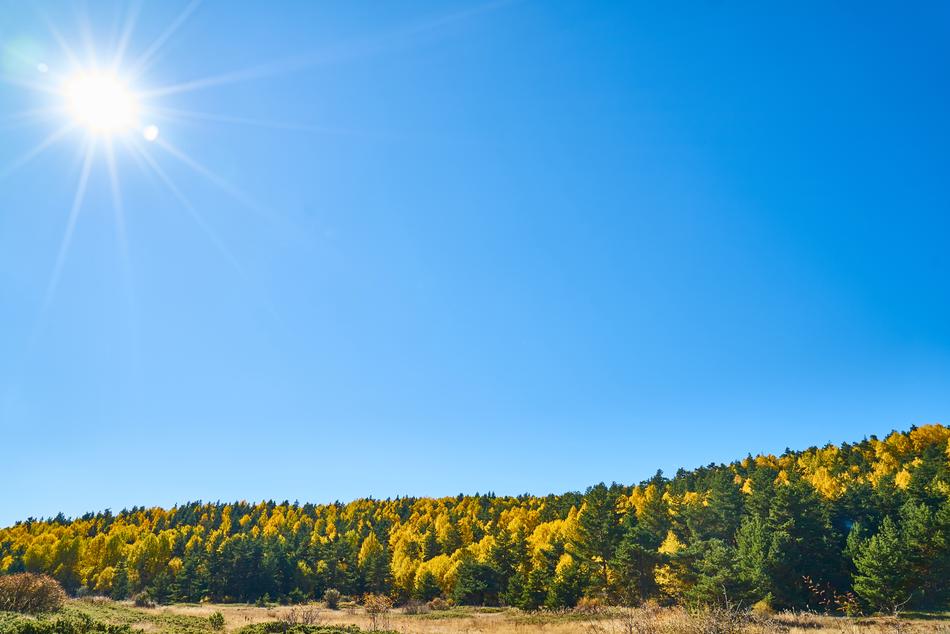 Autumn Season Landscape