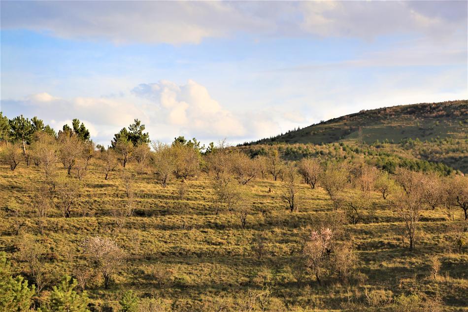 Nature Land Sky