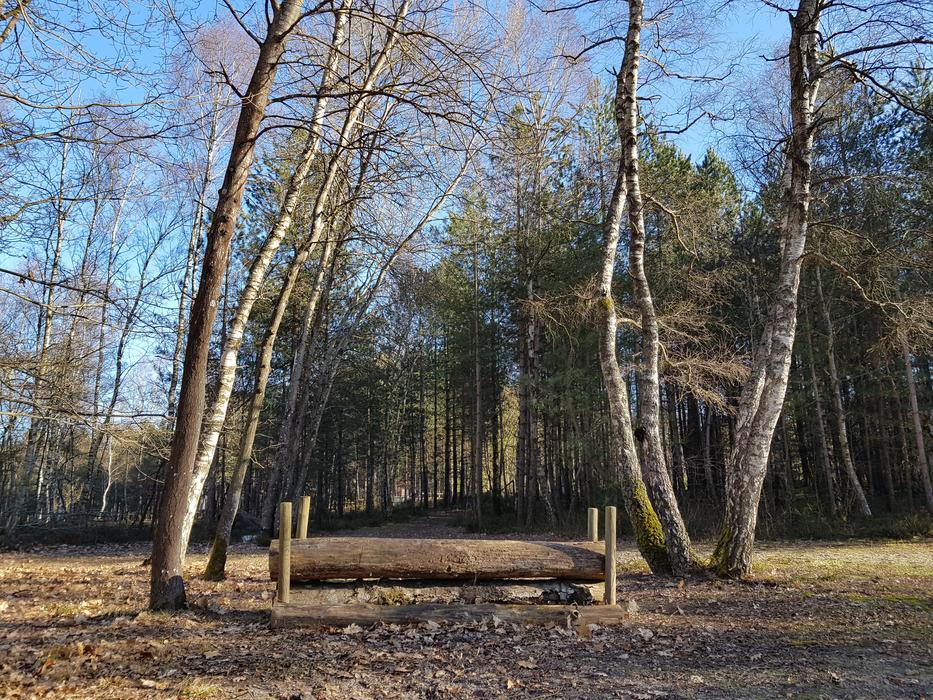 Forest Jump Cce Eventing