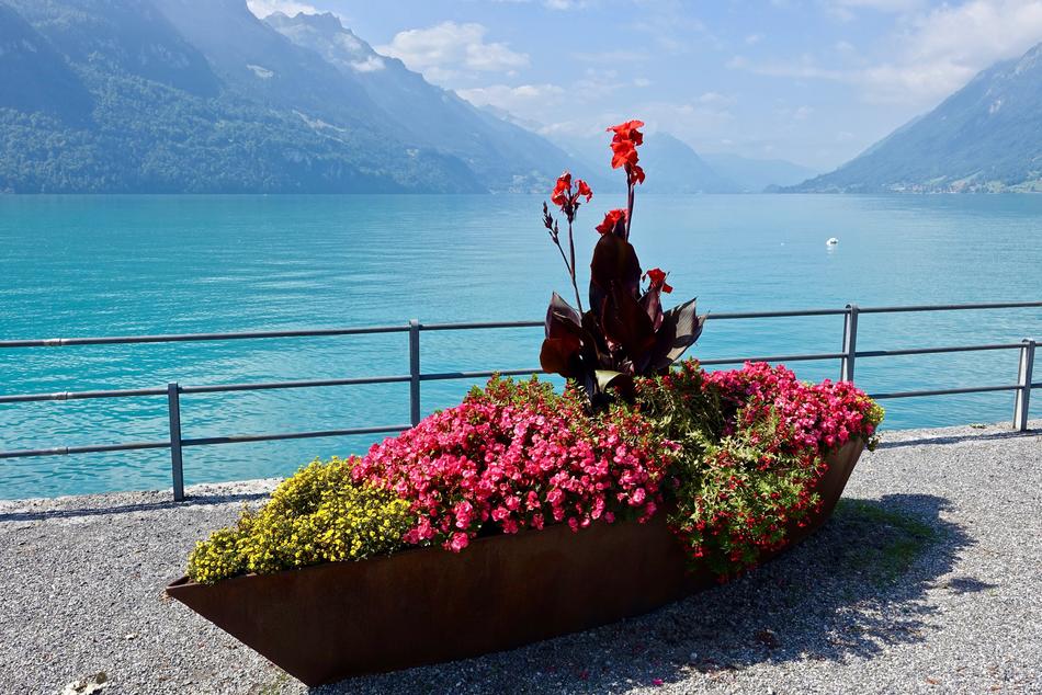 boat with flowers on the background of the sea