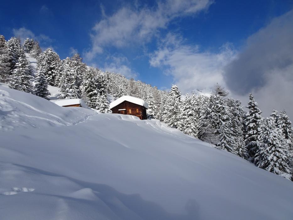 Winter Cold White