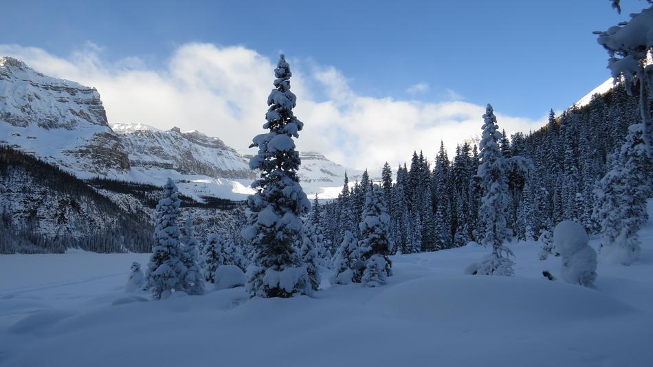 Nature Alberta Canada
