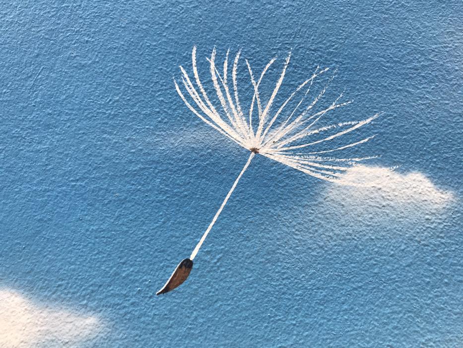 Street Art Sky Nature