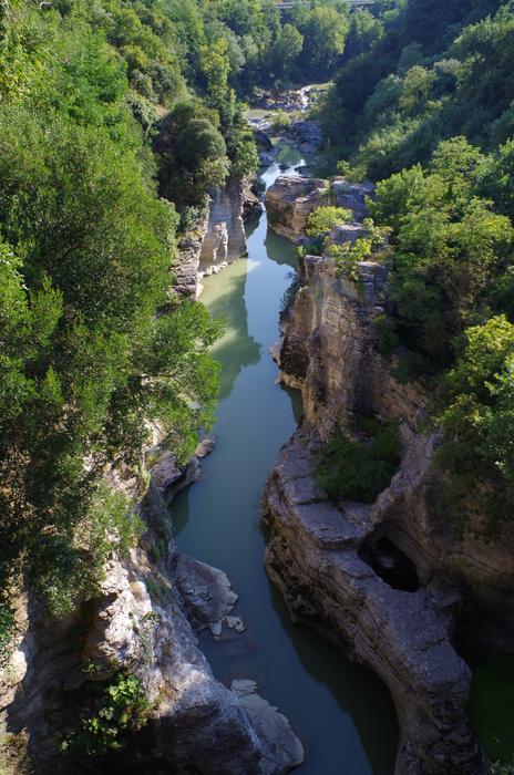 Waters River Nature
