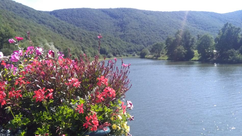 Nature Landscape Body Of Water