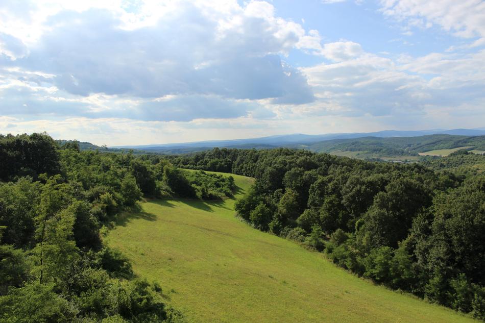 Nature Landscape Wood