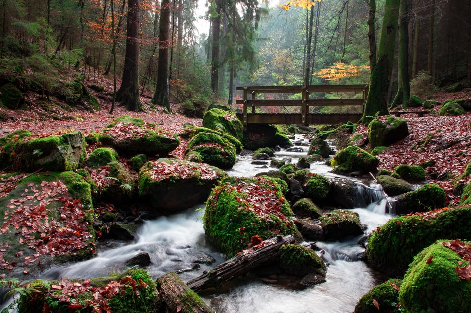 Teutoburg Forest Silver Valley