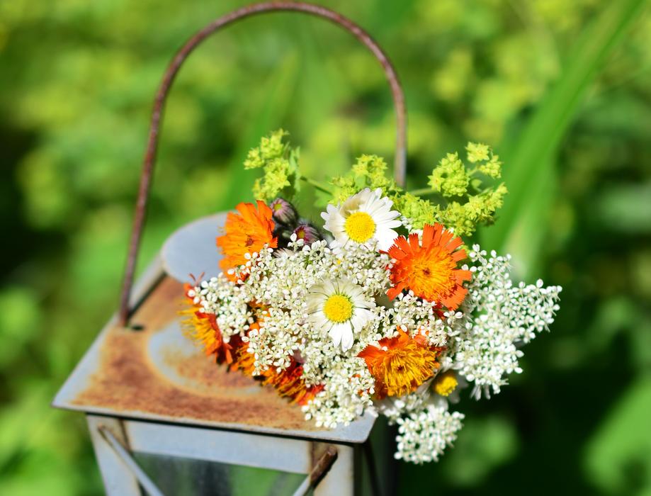 Wildflowers Wild Flowers Bouquet