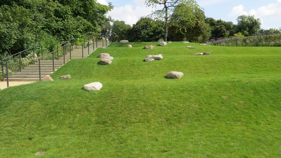 Grass Rush Nature