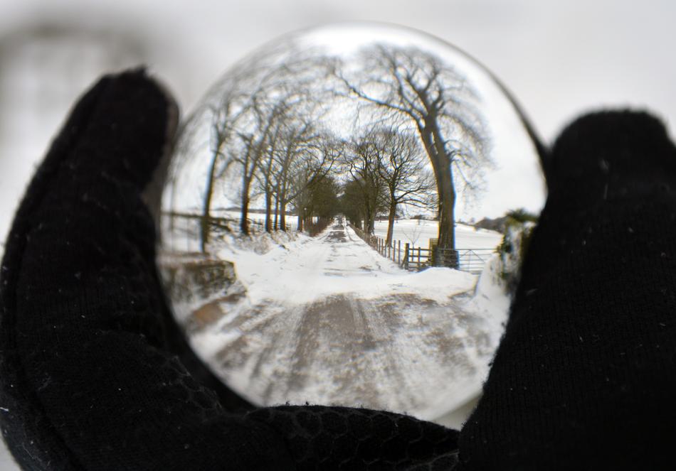 Winter Snow Cold