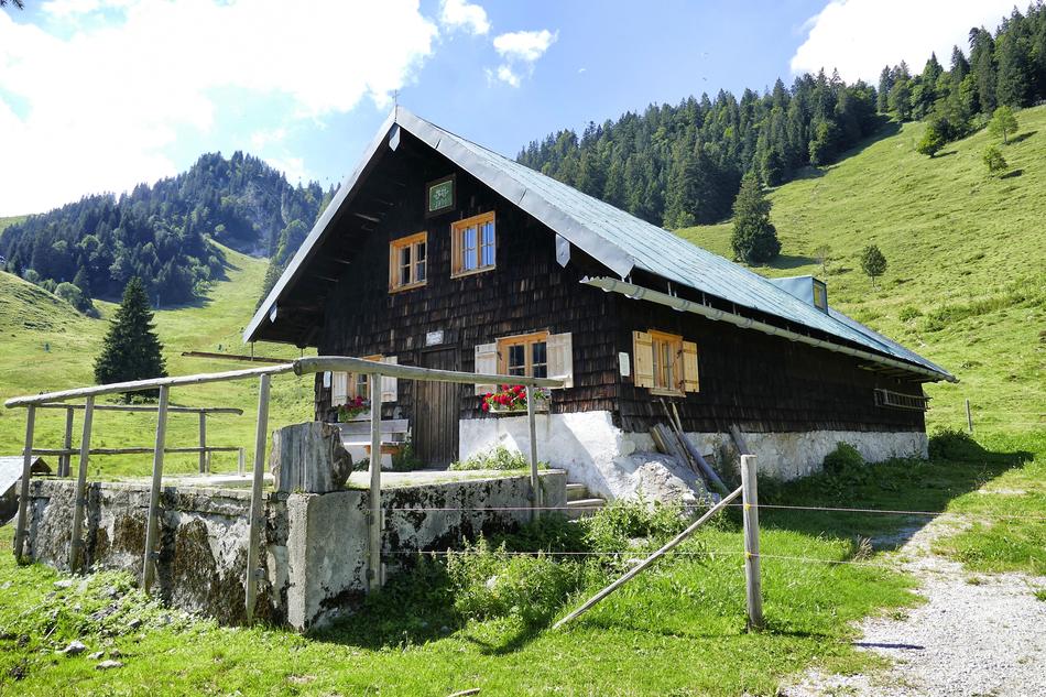 Wood Nature House
