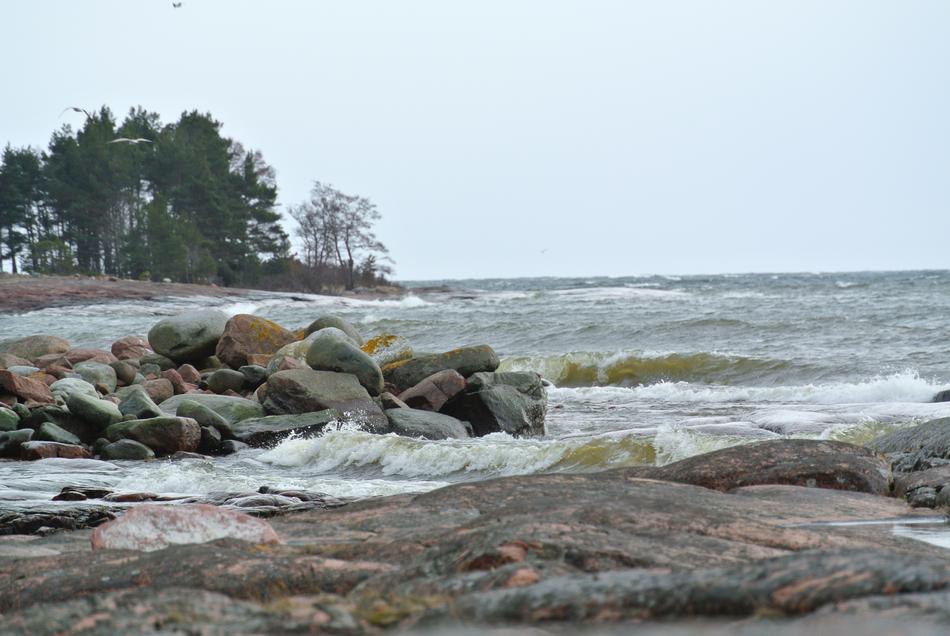Landscape Sea
