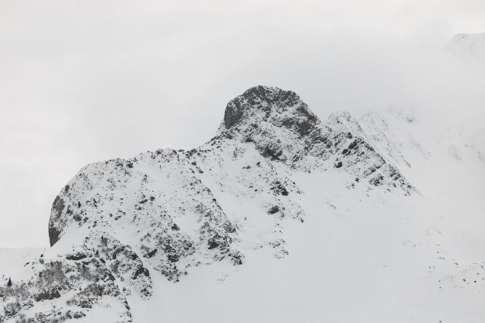 Snow Nature Winter