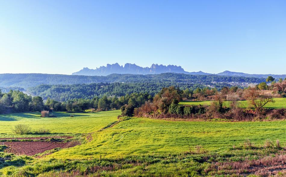 Nature Landscape Hill
