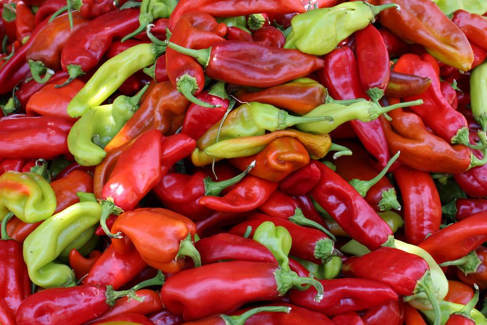 Dried pepper harvest