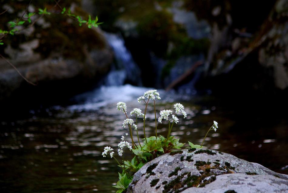 The Body Of Water Nature