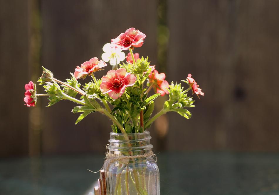 A Small Bunch Garden Flowers Vase