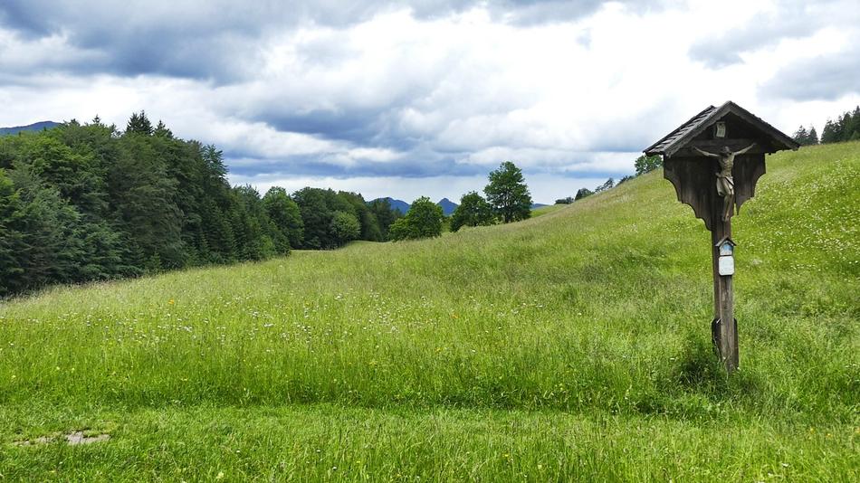 Grass Nature Landscape
