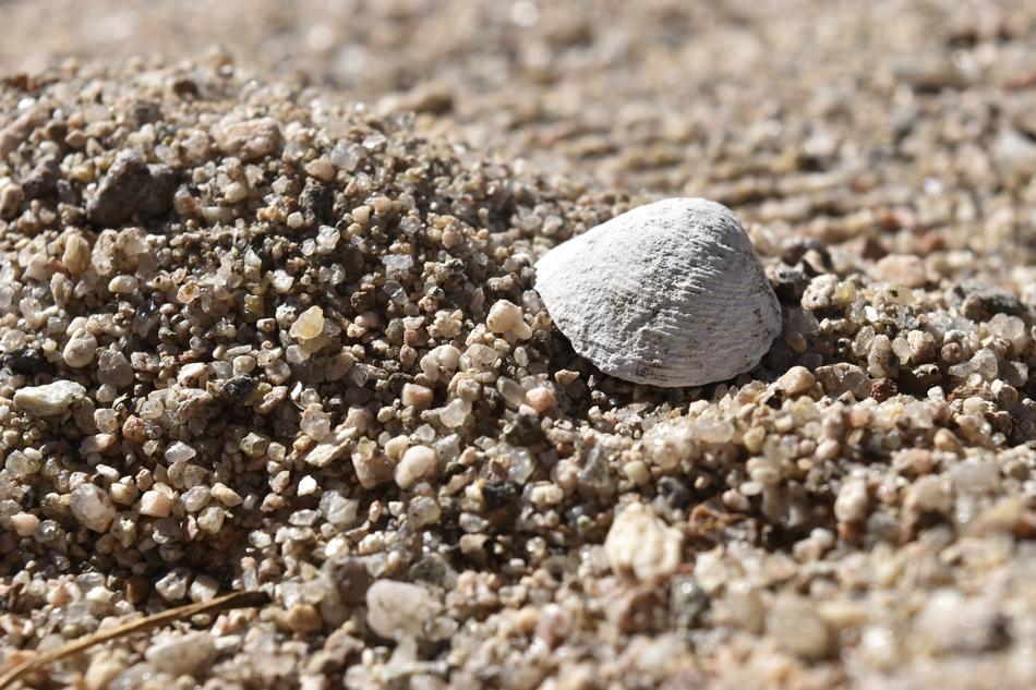 Sand Stone