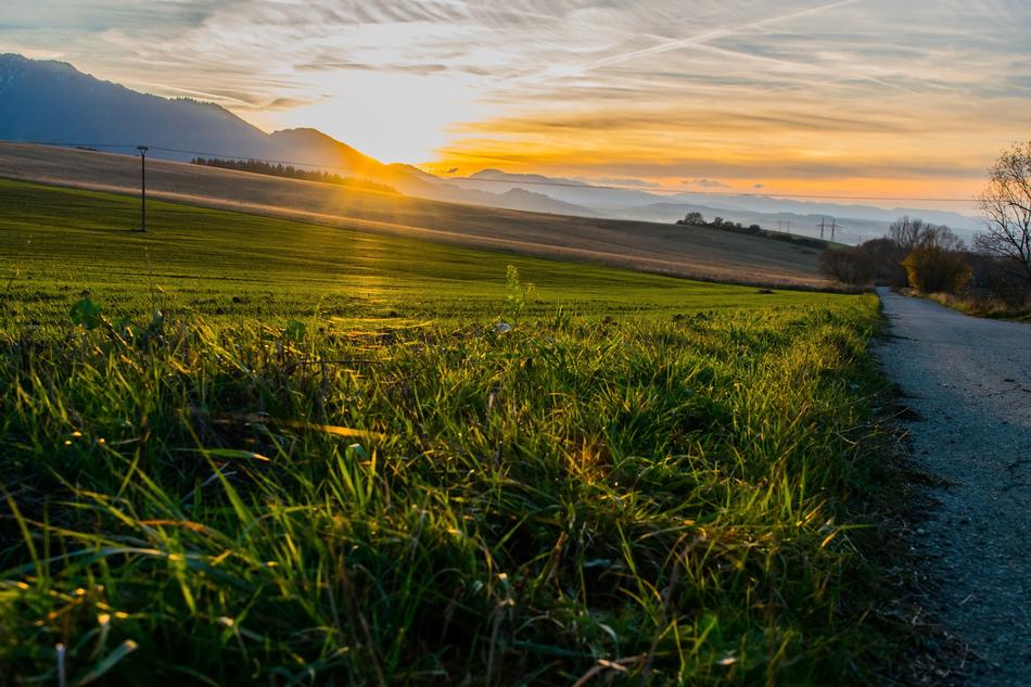 West Sun Nature
