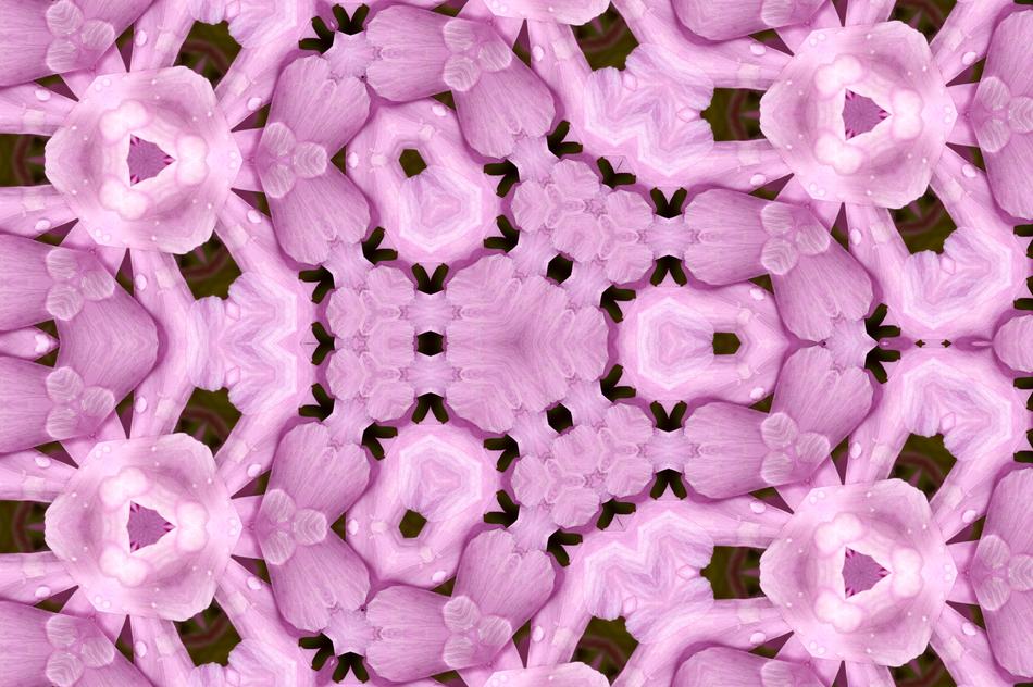 nature background flower color