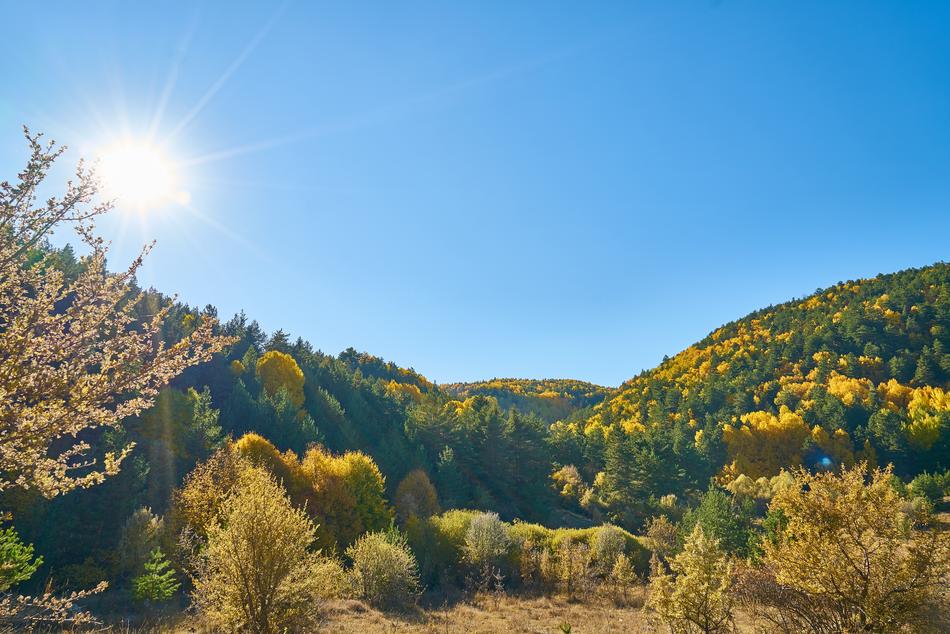 Mountains Trees Autumn