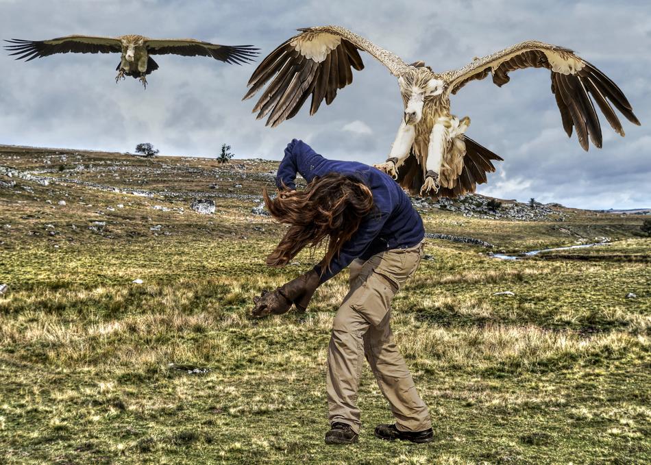 Mounting Vulture Attack