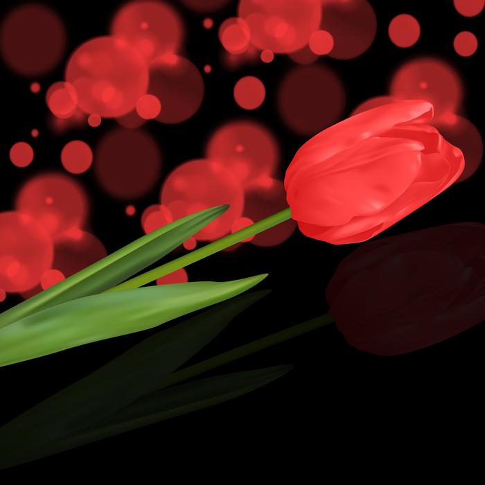 bokeh black background flowers