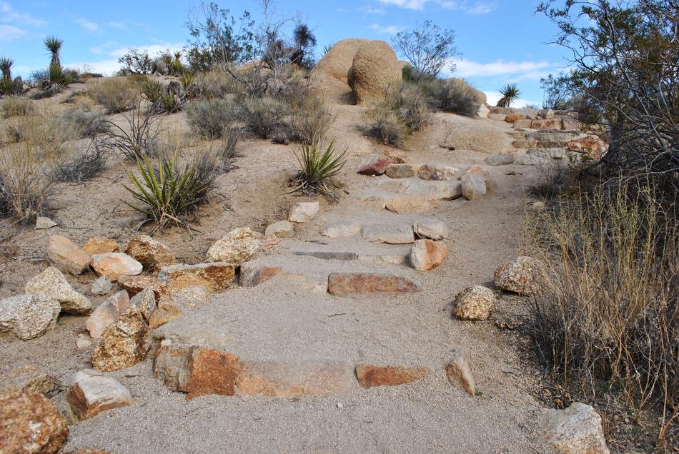 Nature Dry Desert