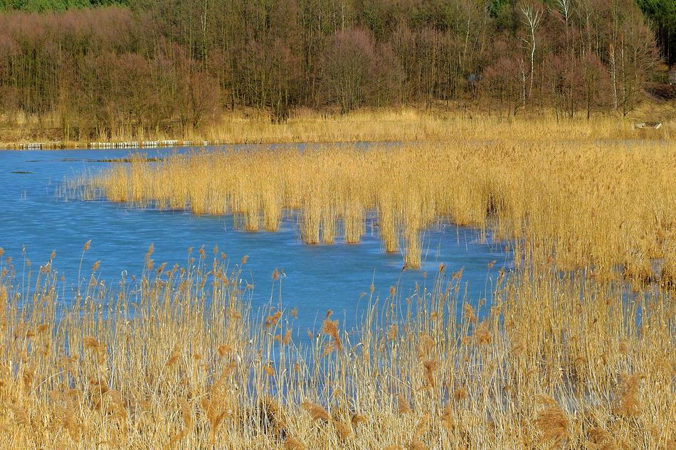 Nature Landscape Lake