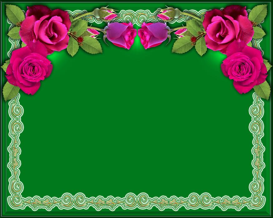 beautiful roses on a green background