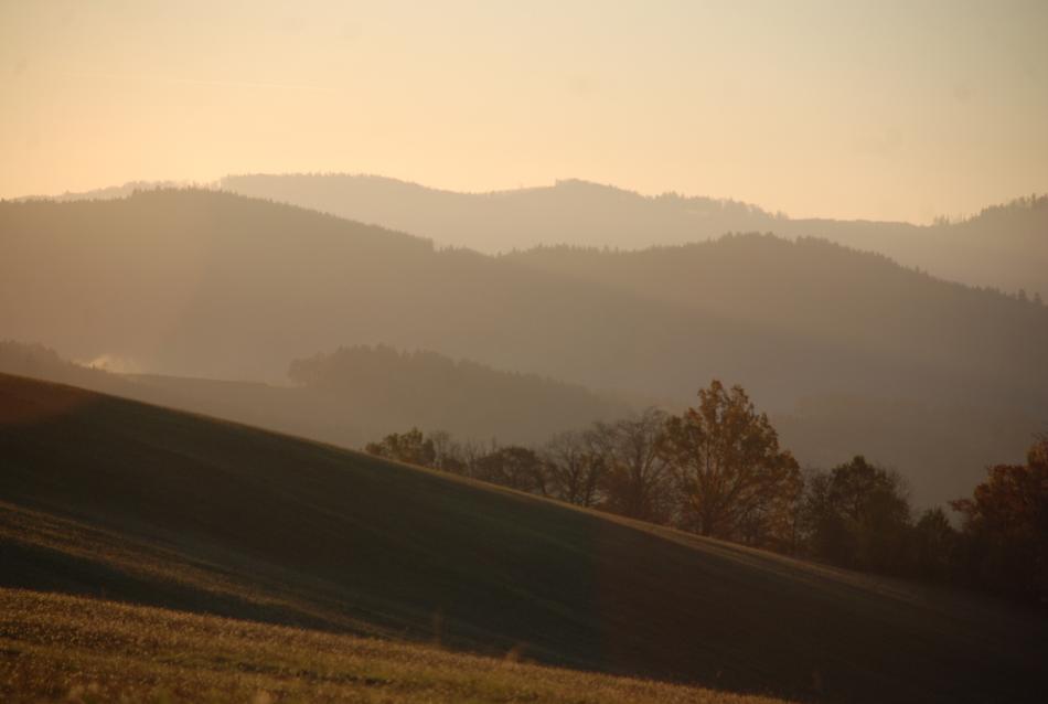 Nature Morning Light