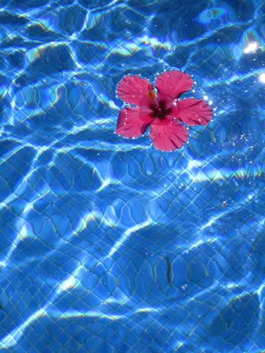 Abstract Flower Body Of Water