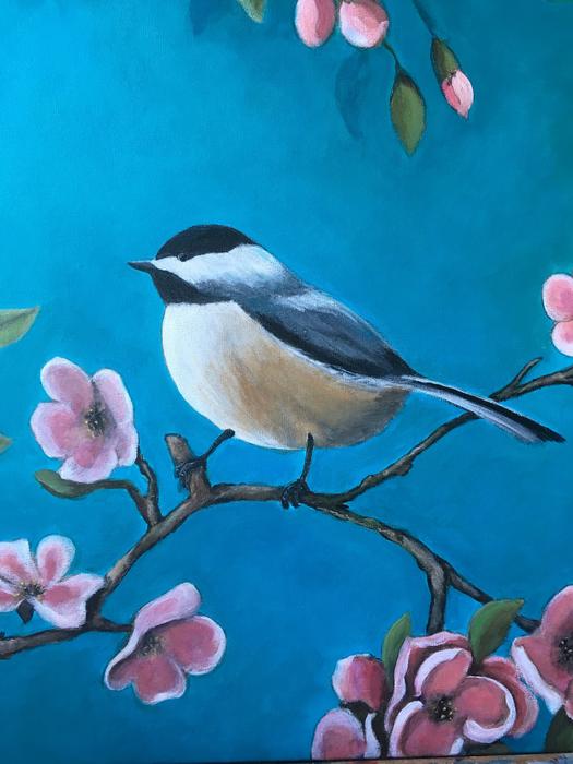 birds nature bird garden outdoor
