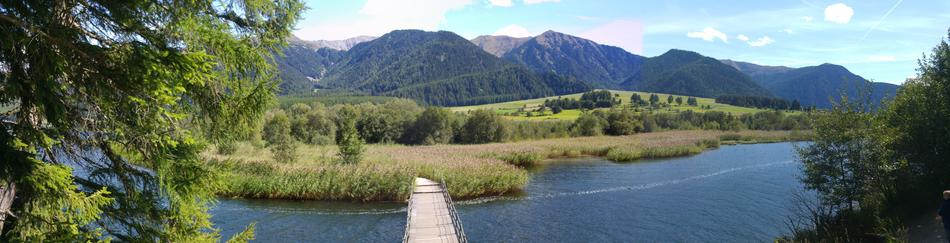 bridge with logs in the lake