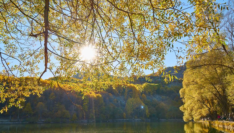autumn landscape in the sun