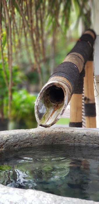 Nature Wood Outdoor