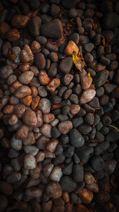 wet beach rocks