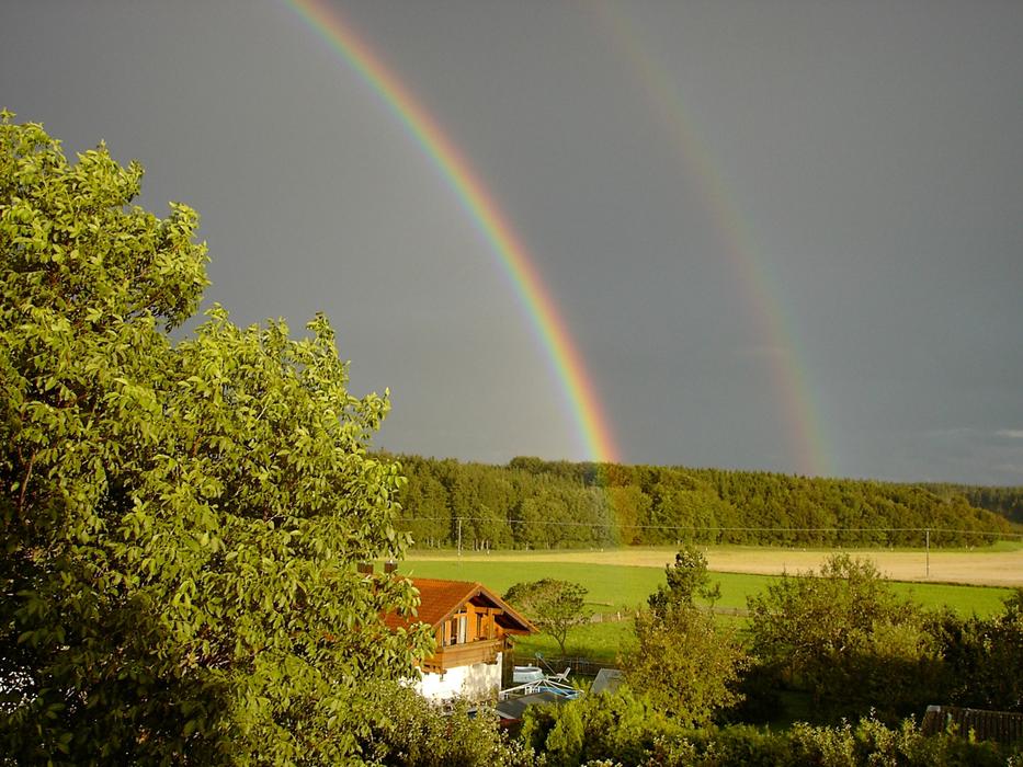 Rainbow Landscape Tree