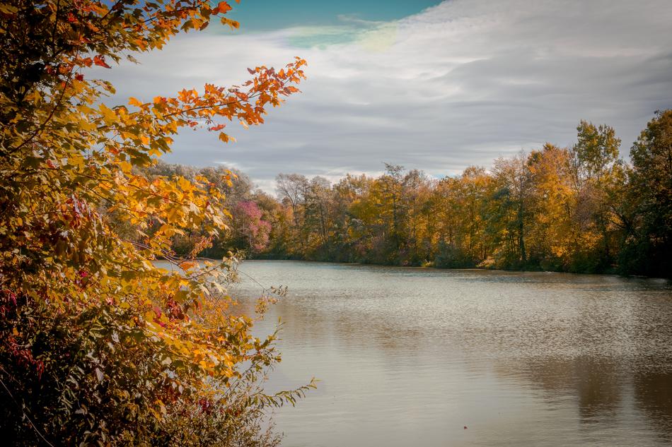 Autumn Tree Lake