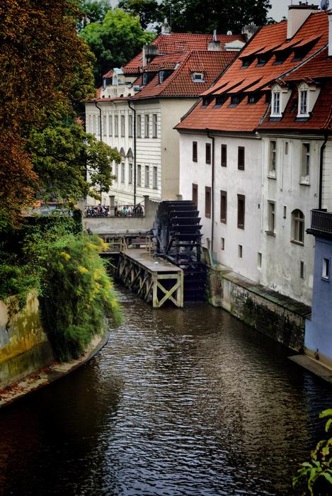 Prague Kampa River Water