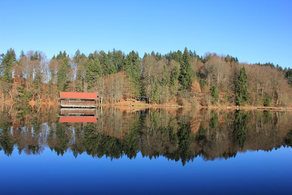 Reflection Lake Nature