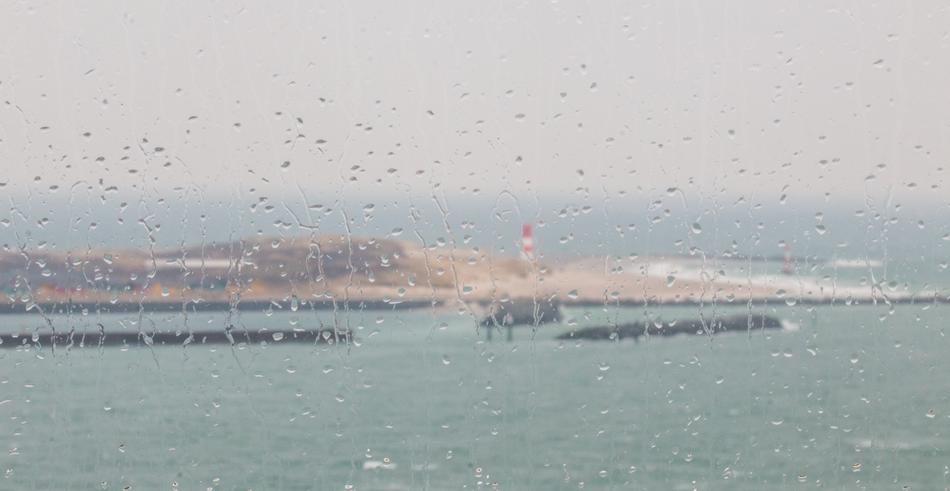Rainy Holiday Reggen Wet Disc