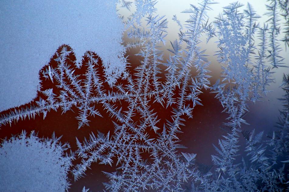 Winter Leann Snow