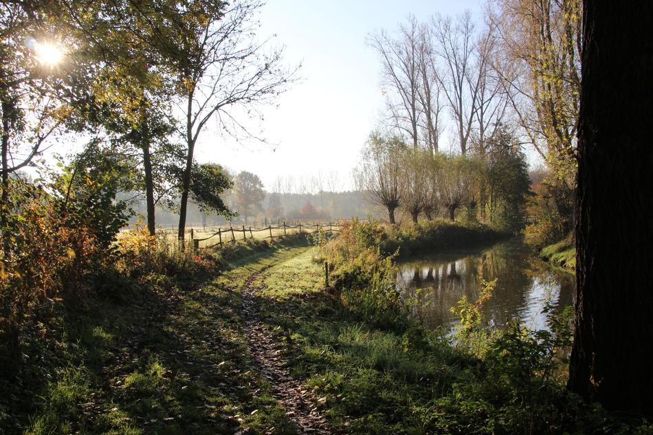 Autumn Brook Path